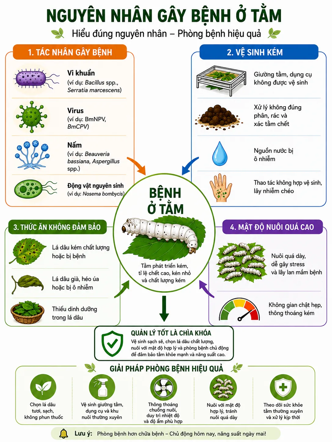Nguyên nhân gây bệnh cho tằm | Dâu Tằm Việt