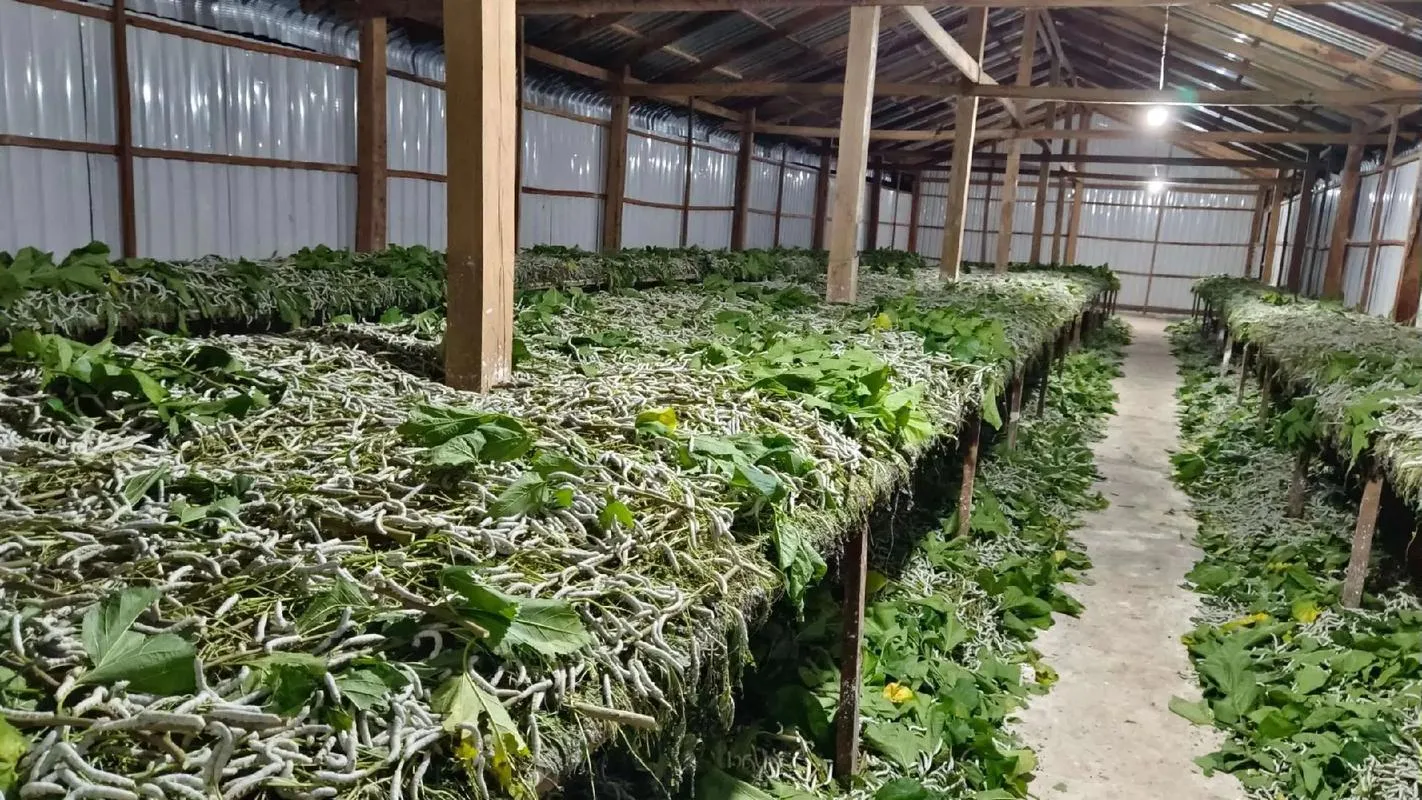 Hướng dẫn cải tạo nhà cũ thành nhà tằm đạt chuẩn