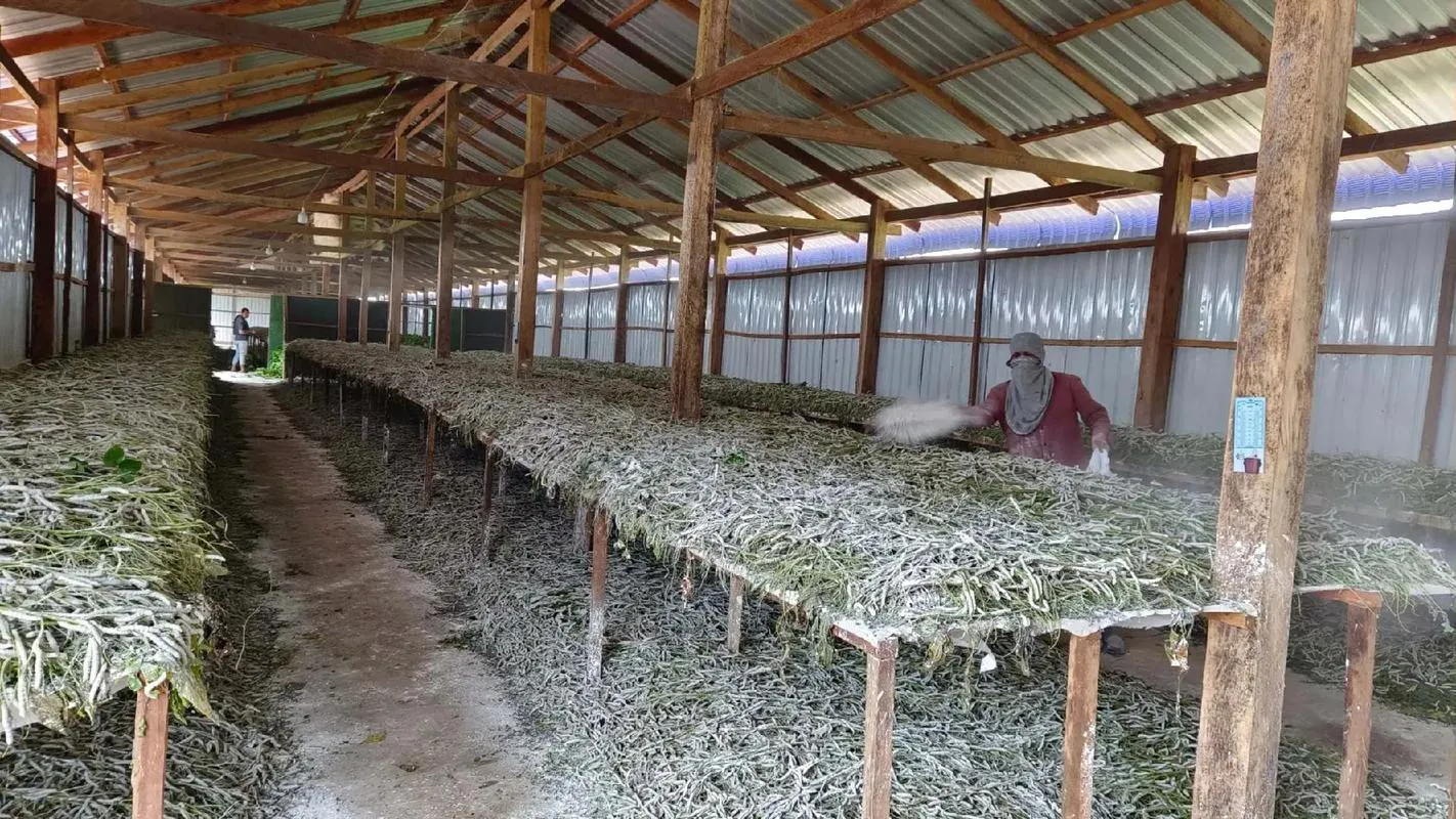 Ảnh minh họa: Giới thiệu: Vì sao nên cải tạo nhà cũ thành nhà tằm?